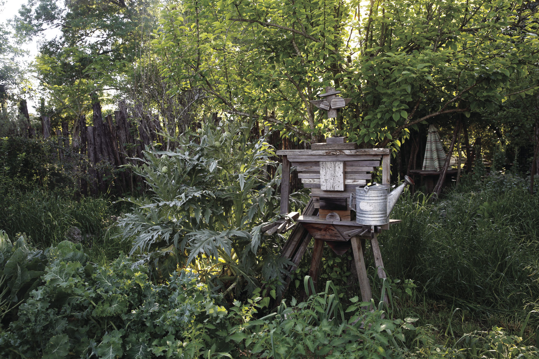 20190409_permaculture_0124.jpg
